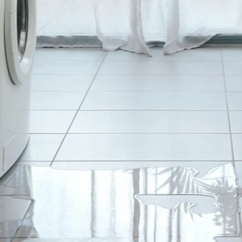 Appliance Leak Cleanup in Newcastle, WA