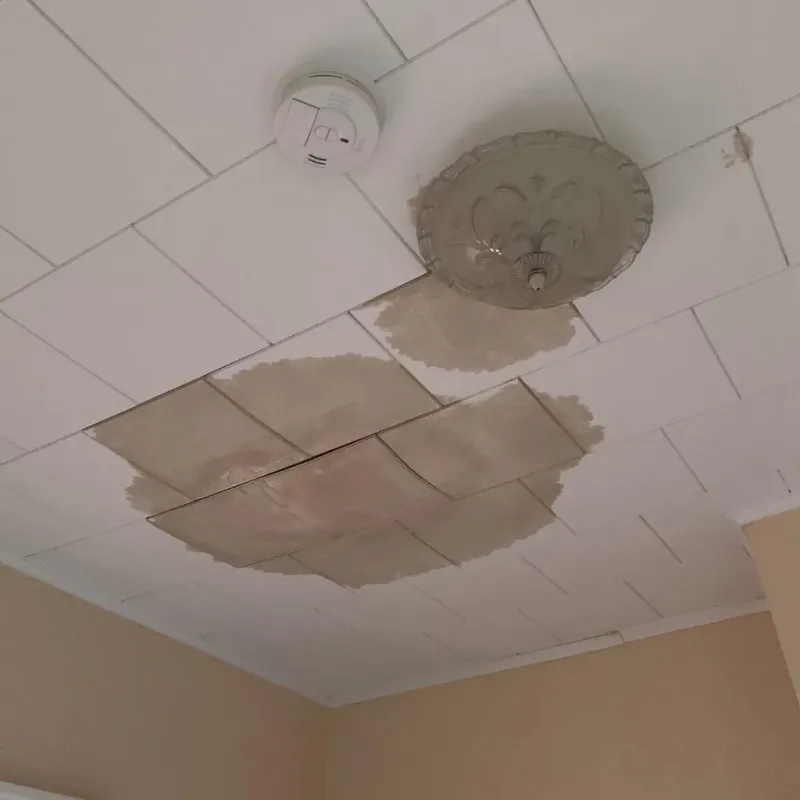 Ceiling Water Damage Repair in Newcastle, WA